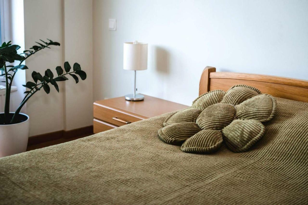 New Apartament Very Close To The City Centre VNO Extérieur photo